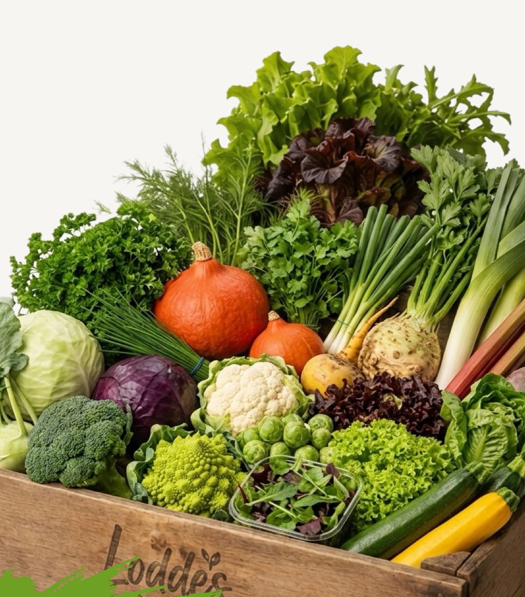 Frische Obst- & Gemüsekiste von Loddes Kist, prall gefüllt mit regionalem Gemüse